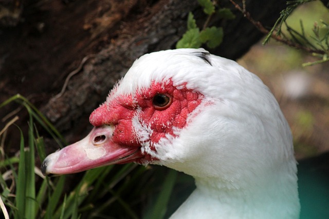 综合以上因 综合以上因