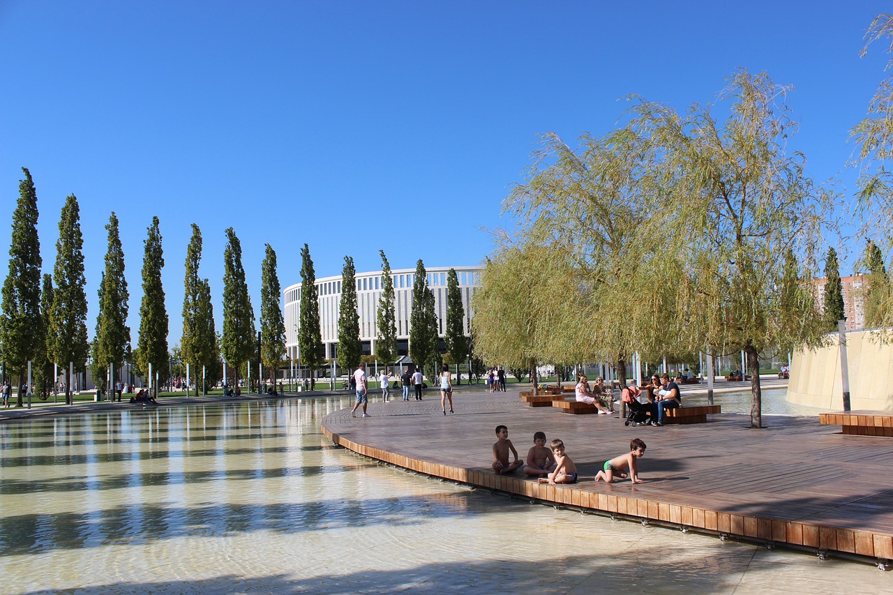 展的路径 展的路径