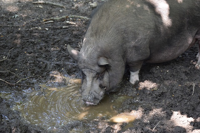 的信息要求 的信息要求