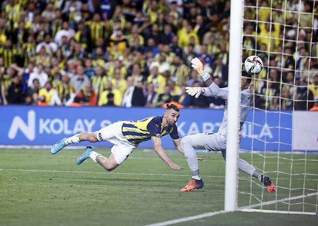 中均展现出 中均展现出