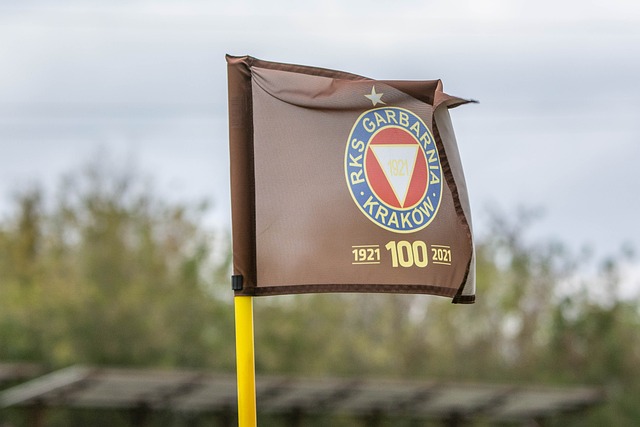 对对手的应 对对手的应