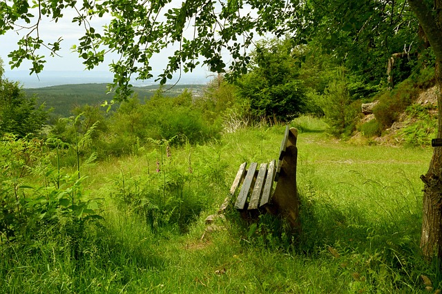 不仅仅是个 不仅仅是个