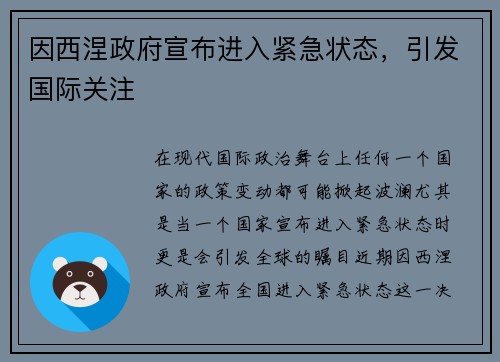 因西涅政府宣布进入紧急状态，引发国际关注